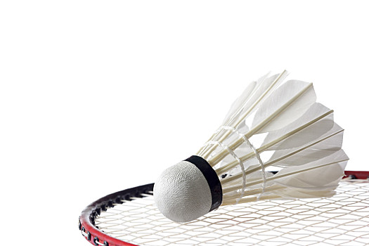 亚洲版费德 亚洲版费德