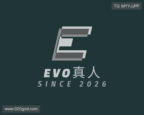 了解EVO视讯